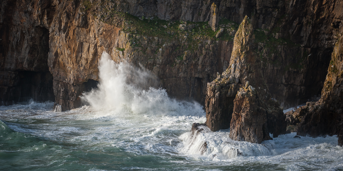 DSC_8016.jpg
