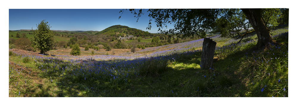 images from wales - Ian Nicholson Photography - Builth Wells