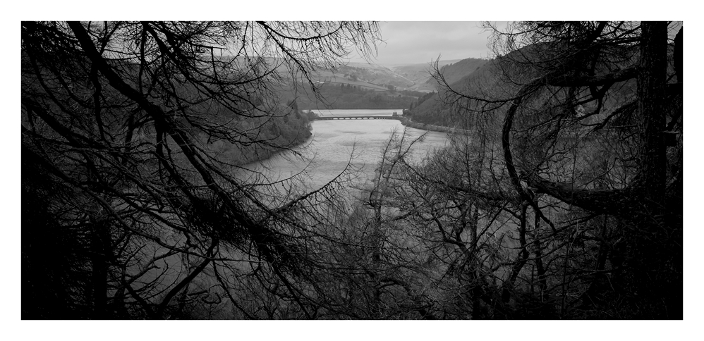 images from wales - Ian Nicholson Photography - Builth Wells