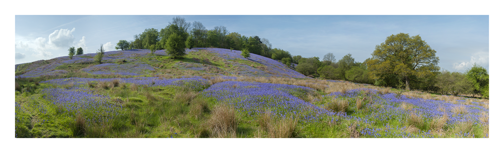 images from wales - Ian Nicholson Photography - Builth Wells