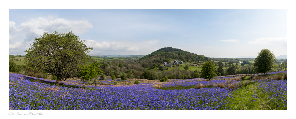 images from wales - Ian Nicholson Photography - Builth Wells