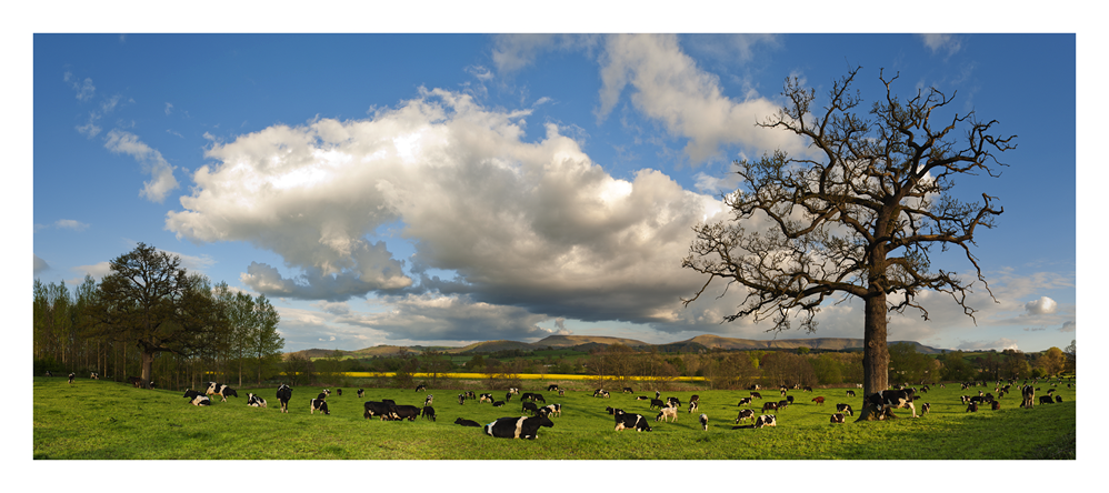 images from wales - Ian Nicholson Photography - Builth Wells