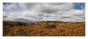 Aberedw Rocks, Builth Wells, Wales