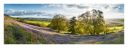 Dolau, Penybont, Llandrindod