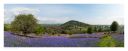 Garth images, Powys, Bluebell Common, Builth Wells images