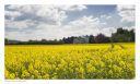 Hereford, Stretton Sugwas images