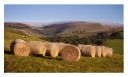 Dolau, Llandrindod, Penybont, Llandegley Rocks, New Radnor Forest