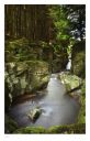 Hafod Estate, Cwmystwyth