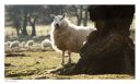 Brecon Beacons, Pen y Fan, Images of Wales