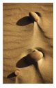 Ynyslas, Borth, images