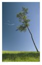 Epynt, Builth Wells images
