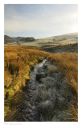 Abergwesyn, Llanwrtyd Wells, Beulah, images